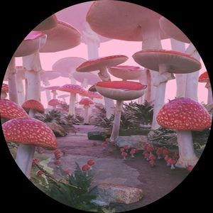 Meet your Posher, Lilly